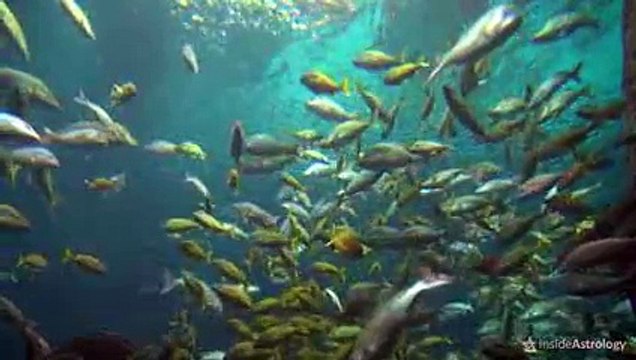 Pisces-Personality-Traits-Pisces-Traits-and-Characteristics