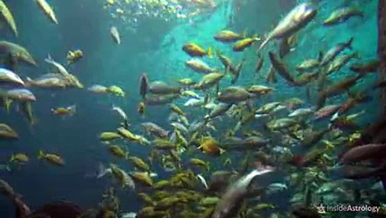 Pisces-Personality-Traits-Pisces-Traits-and-Characteristics