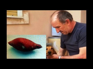 Caso Bozzoli, morte Ghirardini: trovate tracce di cianuro durante perquisizioni