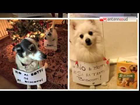 Tg Antenna Sud - Capodanno, no ai botti si ai biscotti