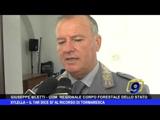 XYLELLA | Il TAR dice sì al ricorso di Tormaresca