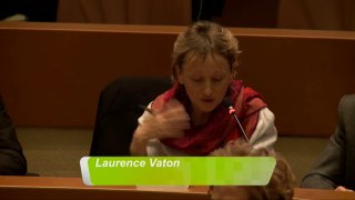 Intervention de Laurence Vaton - Conseil municipal de Strasbourg - 14 décembre 2015