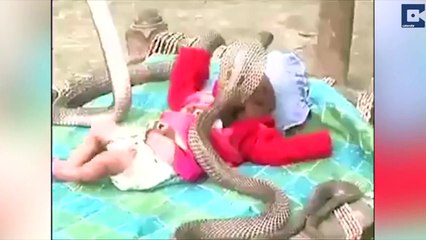 Baby And Cobra Cuddle In Shocking Vid..