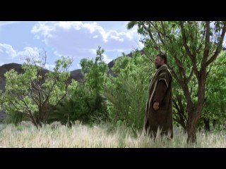 اختبار النبي إبراهيم (عليه السلام)