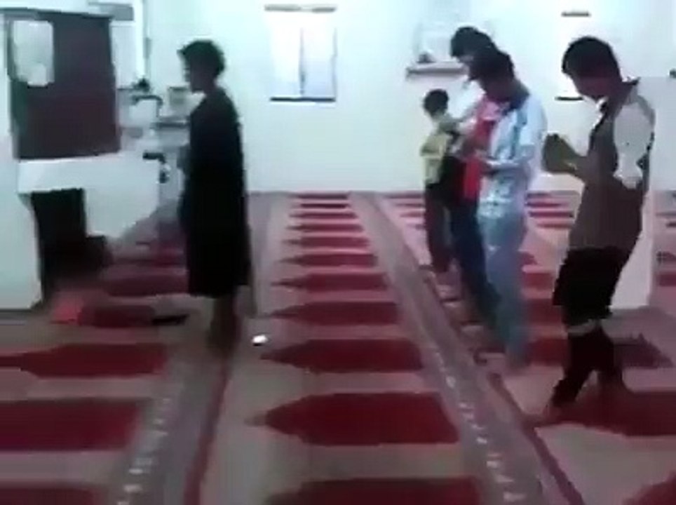 FUNNY VIDOES