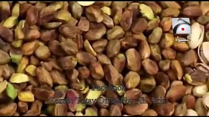 Amazing punjabi dubbing pino chundi :D