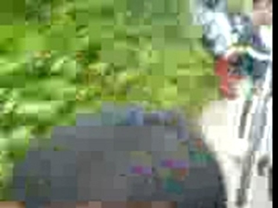 MOV00008