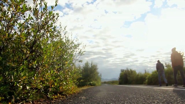 Hitch-Hiking - 19주임신임신수술병원 [임신병원문의 aaww2277@gmail.com]