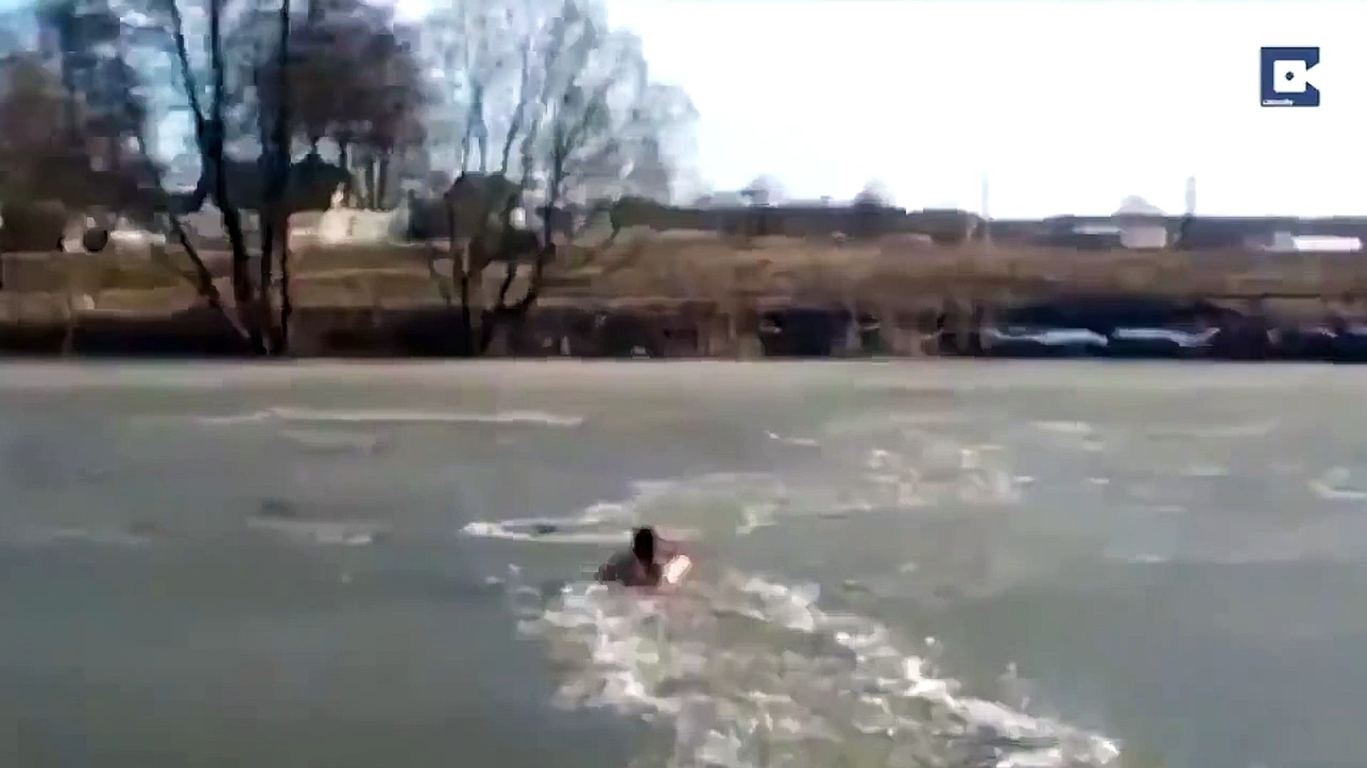 ⁣Русский парень спас собаку от смерти