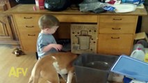 Boy Feeds Dog and Falls In Dog Dish