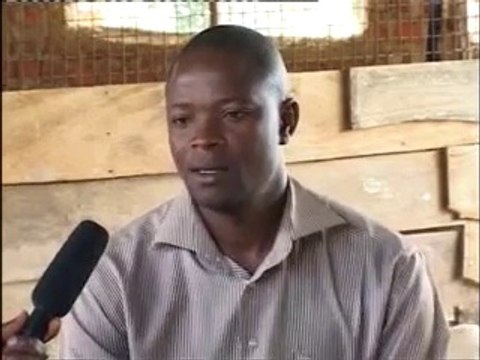 Poultry farming in Uganda,success story