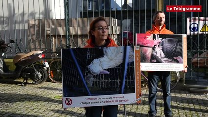 Vannes. "Happening" contre le foie gras
