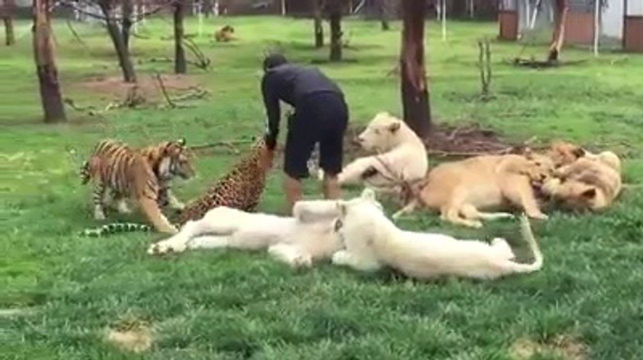 আমার মনে হয় সত্য না