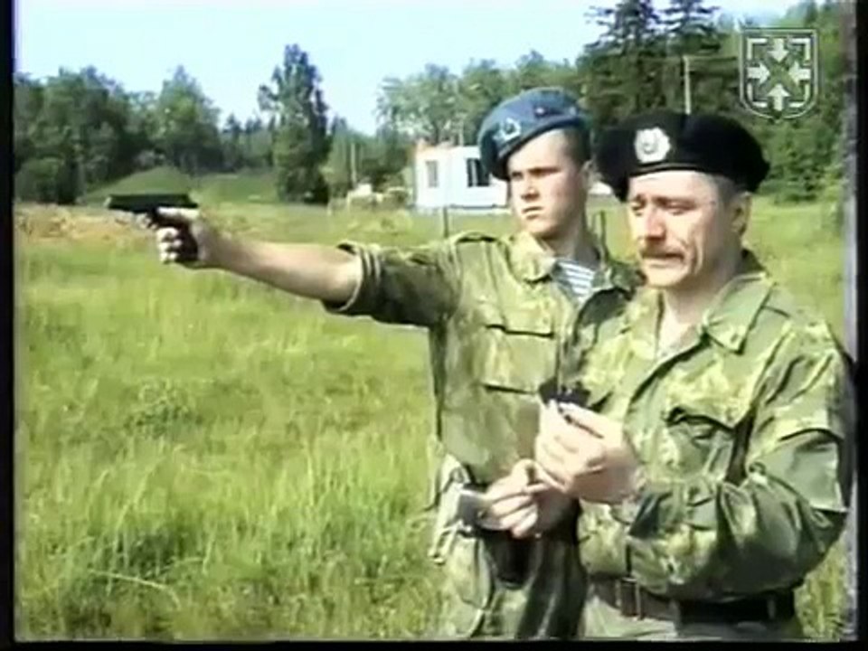 Правила прицеливания СВД