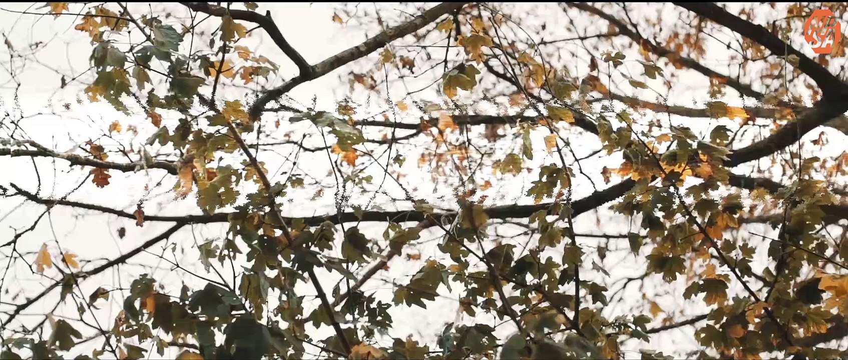 Dutch Nationals IPSC Handgun - Official aftermovie NPSA 2015