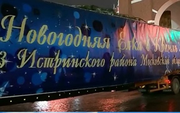 Главная новогодняя ель прибыла в Кремль