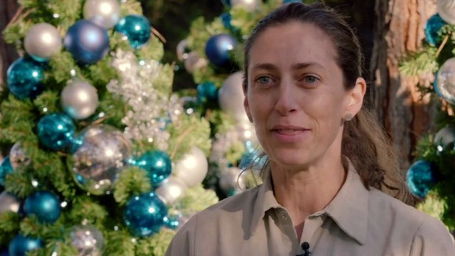 CUTE: Polar bears wake to a winter wonderland in San Diego