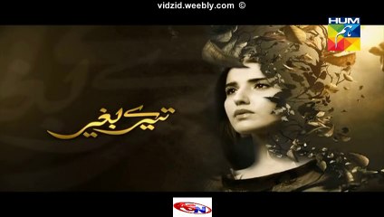 Tere Baghair Hum Tv Drama Episode 6 Full (23 December 2015)