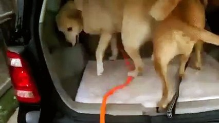 Dude, how we gonna go to the park if he can't shut the door?