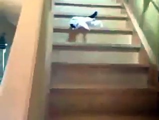 When you drink too much