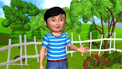 Baa Baa Black Sheep   3D Animation English Nursery rhyme for children with lyrics