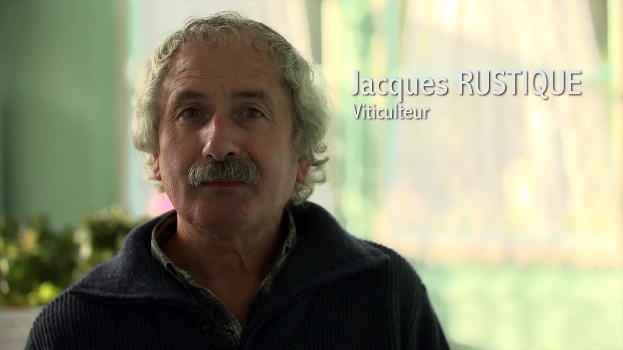 Le téléphone au volant ne devrait pas seulement être considéré comme un délit mais comme un crime !