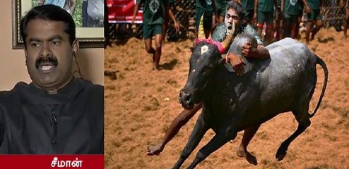 Seeman Debates on Jallikattu Issue | 18 December 2015