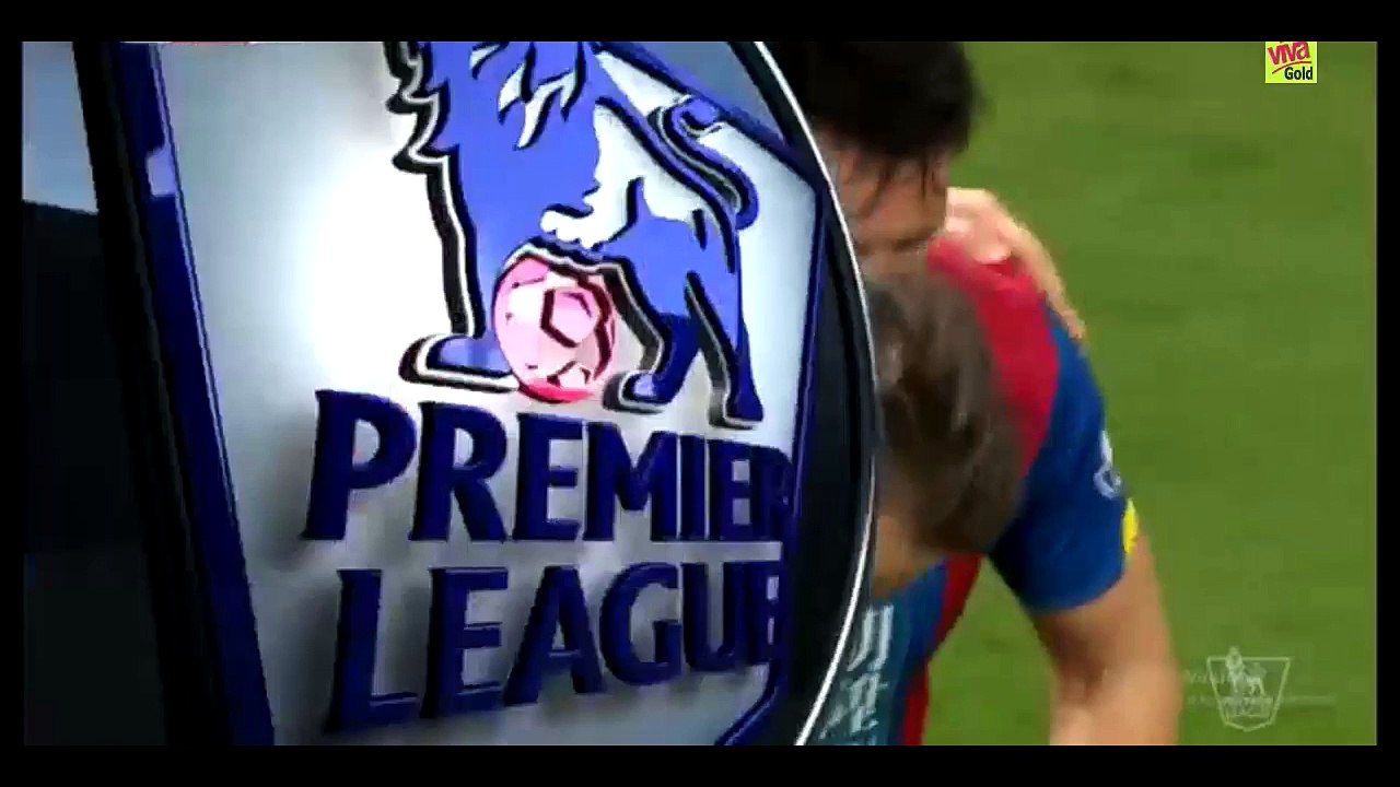 Connor Wickham Goal - Stoke City 0-1 Crystal Palace - 19-12-2015