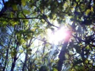 "I Talk To The Wind" King Crimson