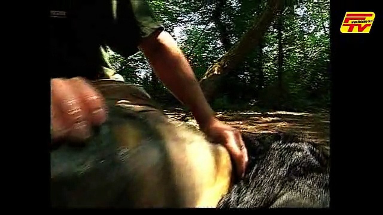 Pêche de la Carpe - Les zones de pêche