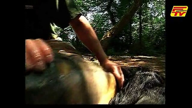 Pêche de la Carpe - Les zones de pêche