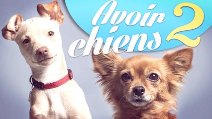 Natoo-Avoir 2 chiens