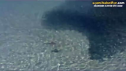 Binlerce Balığın Saldırı Anı
