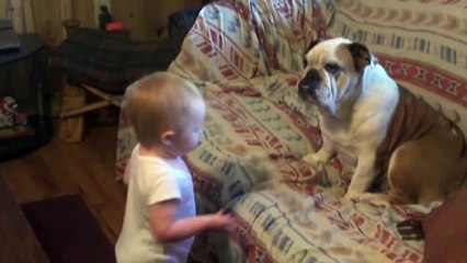 Baby Argues With Bulldog