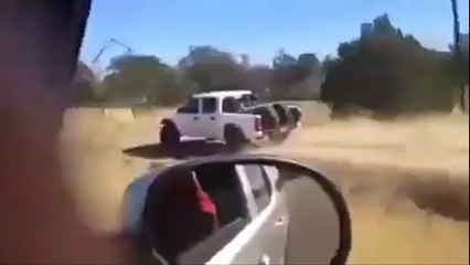 truck-using-the-road-this-is-way-more-fun