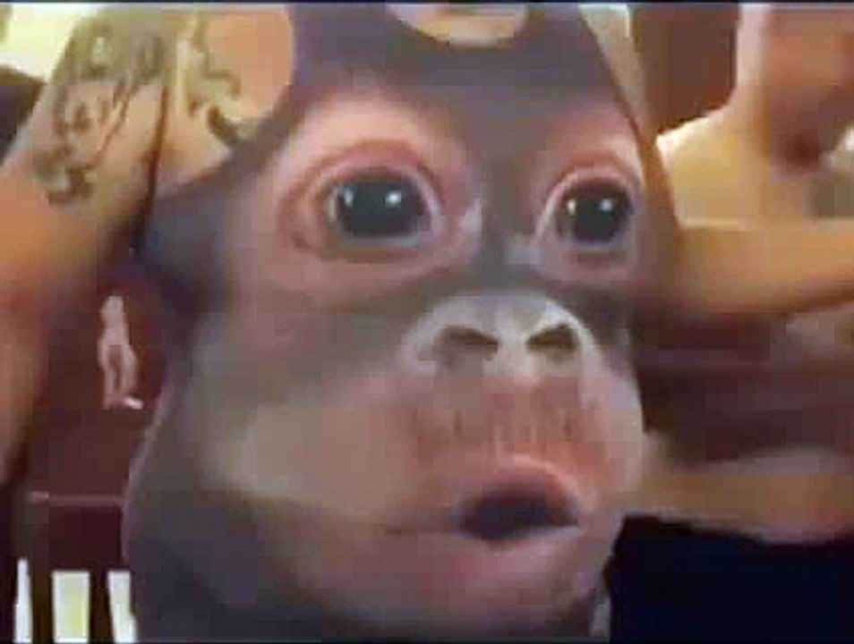 Trop Trop bien fait ^^