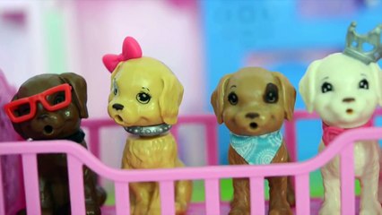 Pig George e Familia Peppa Pig Salvando Os Cachorrinhos do Vizinho!!! Em Portugues Tototoykids