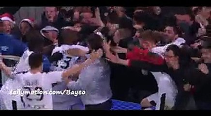 All Goals - Guingamp 0-2 Rennes - 19-12-2015