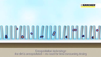 Karcher Halı yıkama şirketleri için Halı Pro Line