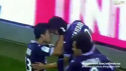 Toulouse vs Lille 1-1 All Goals - Highlights [19 12 2015]