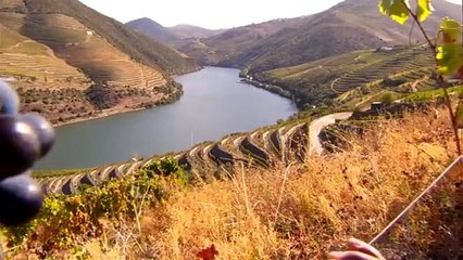 Vale do Ouro Uma das regiões mais bonitas do mundo