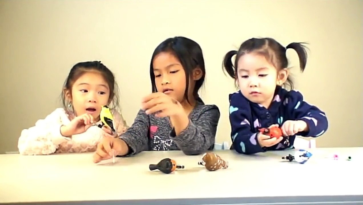 singing birds Plastic Singing Birds, Owl, Cardinal, Gold Finch, Robin and Blue Jay singing