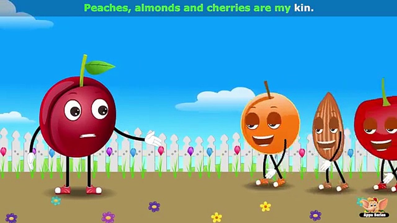 Plum - Fruit Rhyme