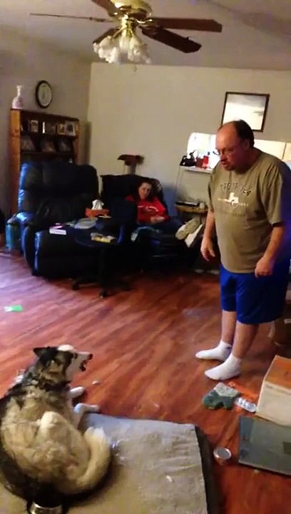 Man and husky argue over stolen potato skin