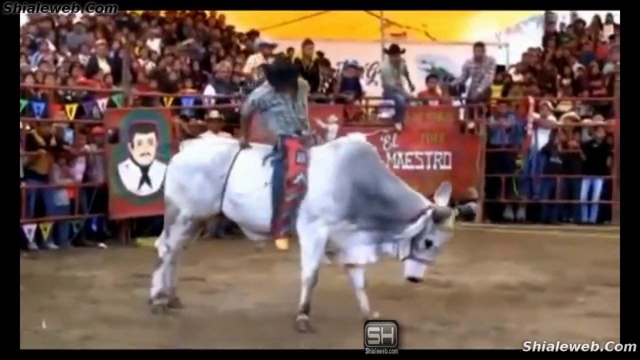 JARIPEO GUERREROS DE OAXACA VS RANCHO CAPIRE VS SANGRE GUERRERA EN ZACATEPEC MEXICO TOROS SALVAJES DICIEMBRE 2015