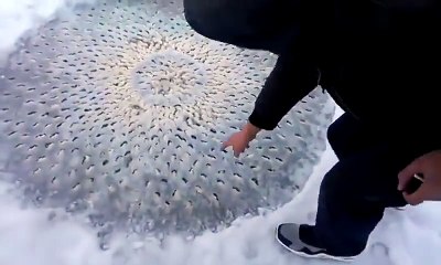 Ils marchaient sur un lac gelé quand ils ont repéré quelque chose de bizarre