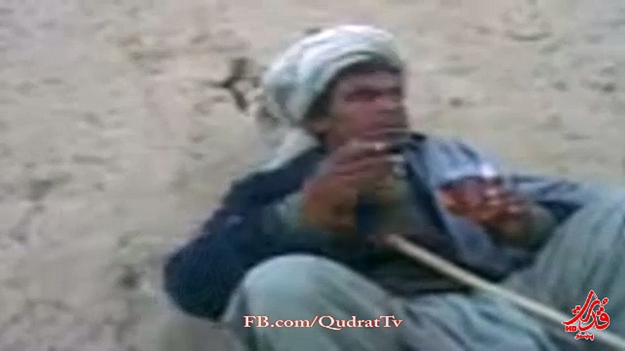 AFGHAN FUNNY HE RIGHT OR WRONG