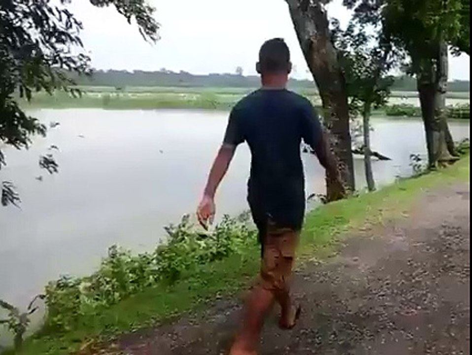 FUNNY VIDOES