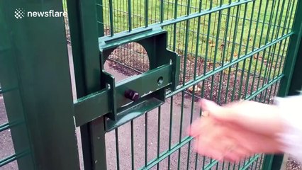 Santa's got mad skills!