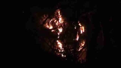 Ola de incendios en Asturias